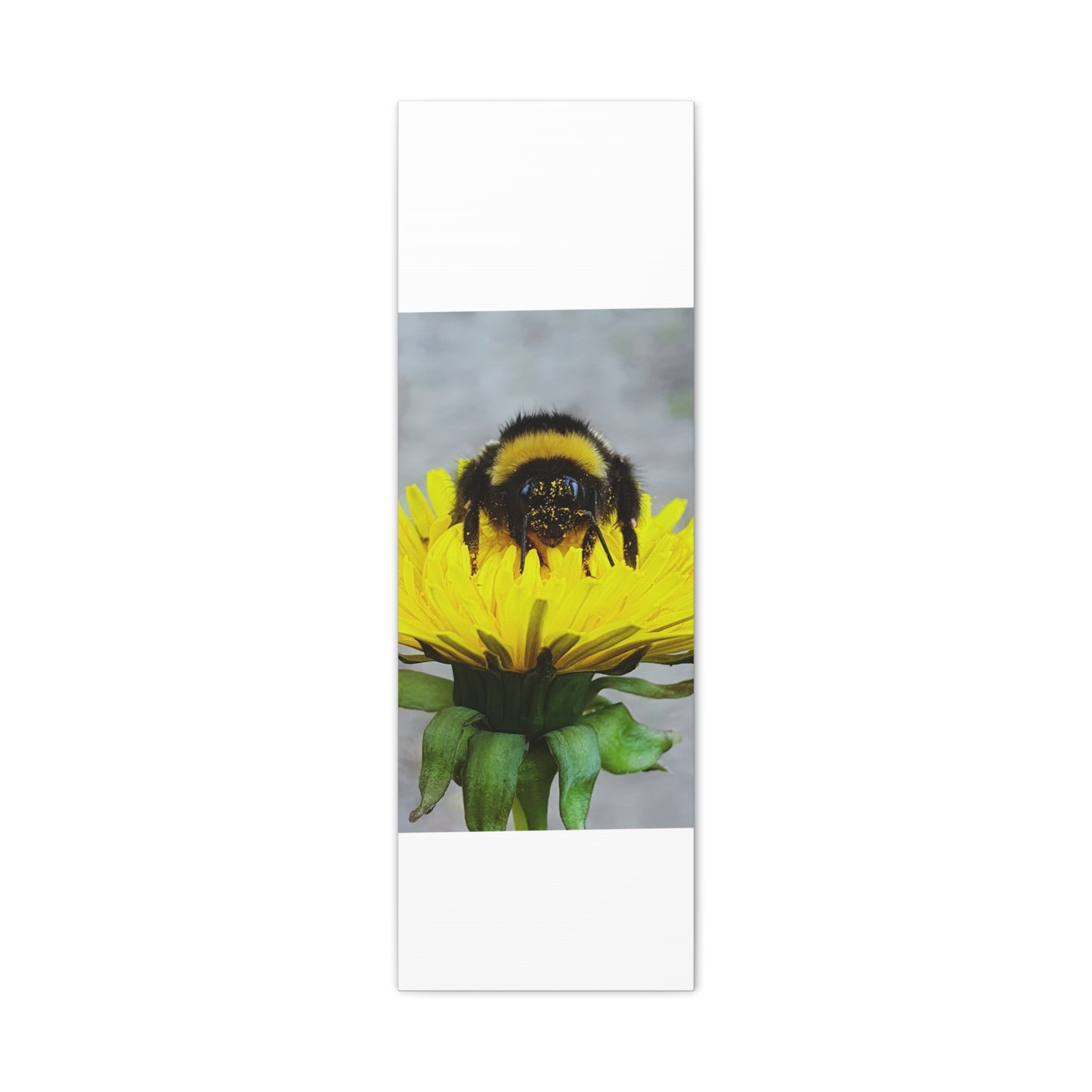 Canvas Nature Photograph Bee Print