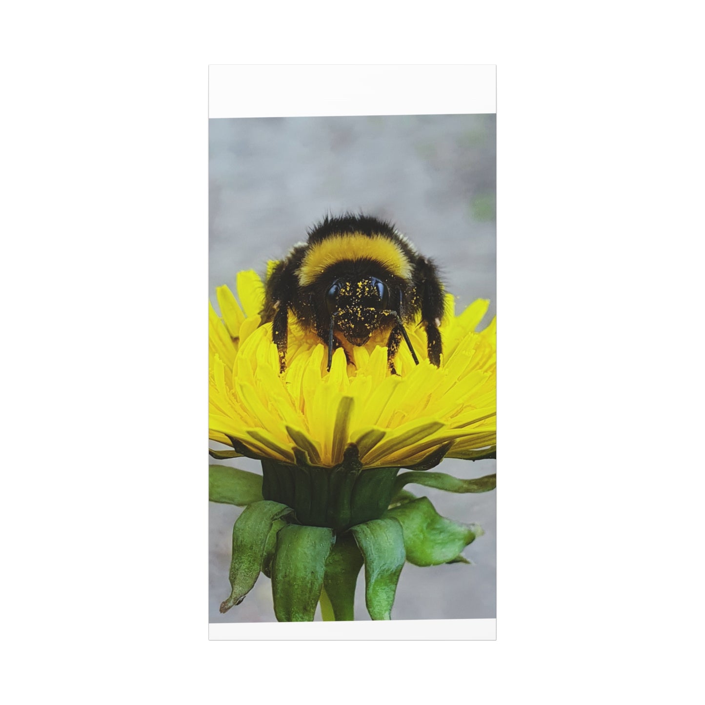 Canvas Nature Photograph Bee Print