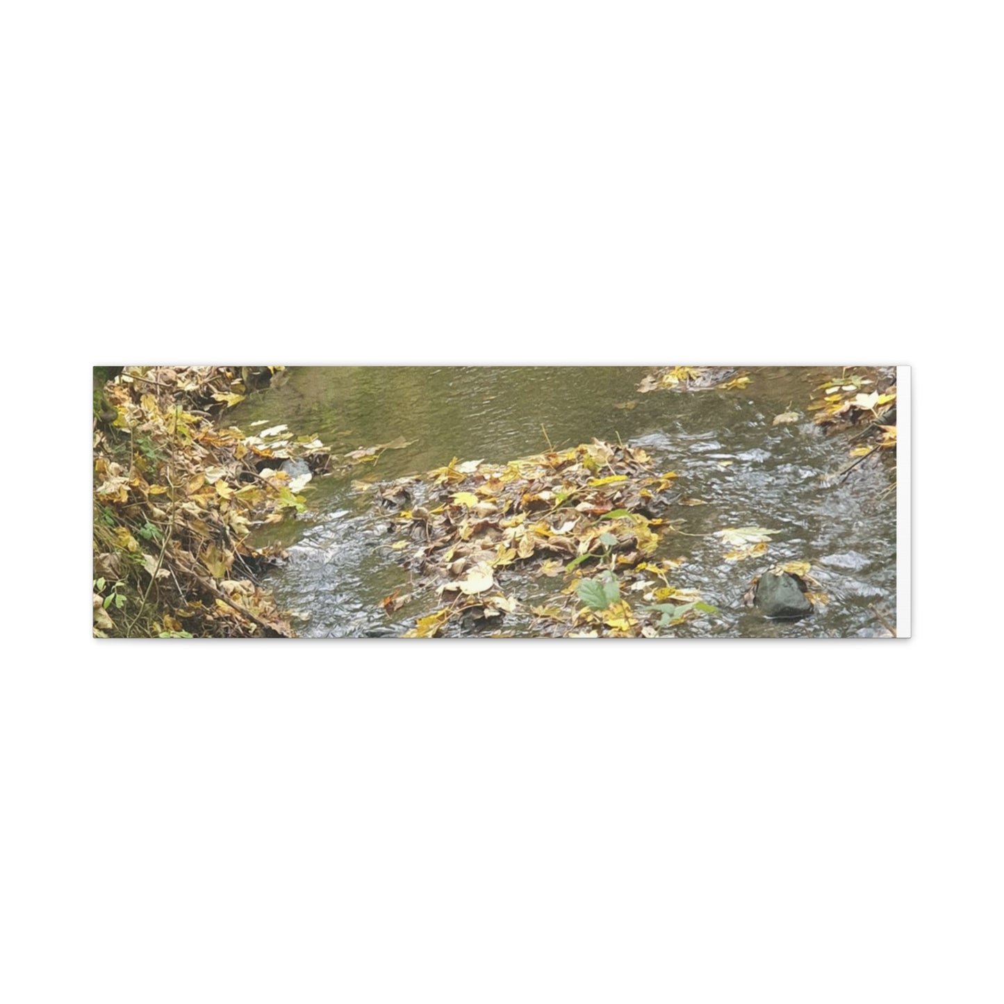 Canvas Print Autumn Water