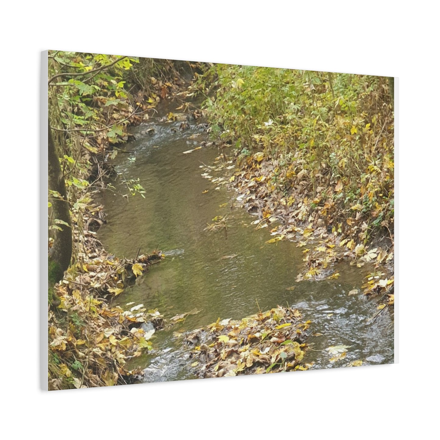 Canvas Print Autumn Water