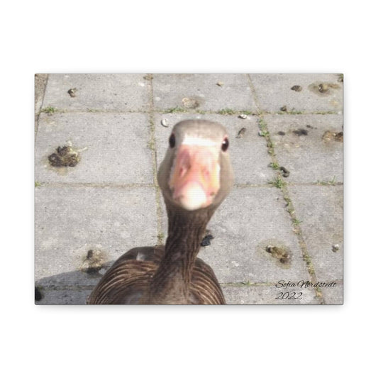 Canvas Art Print - Canva Goose