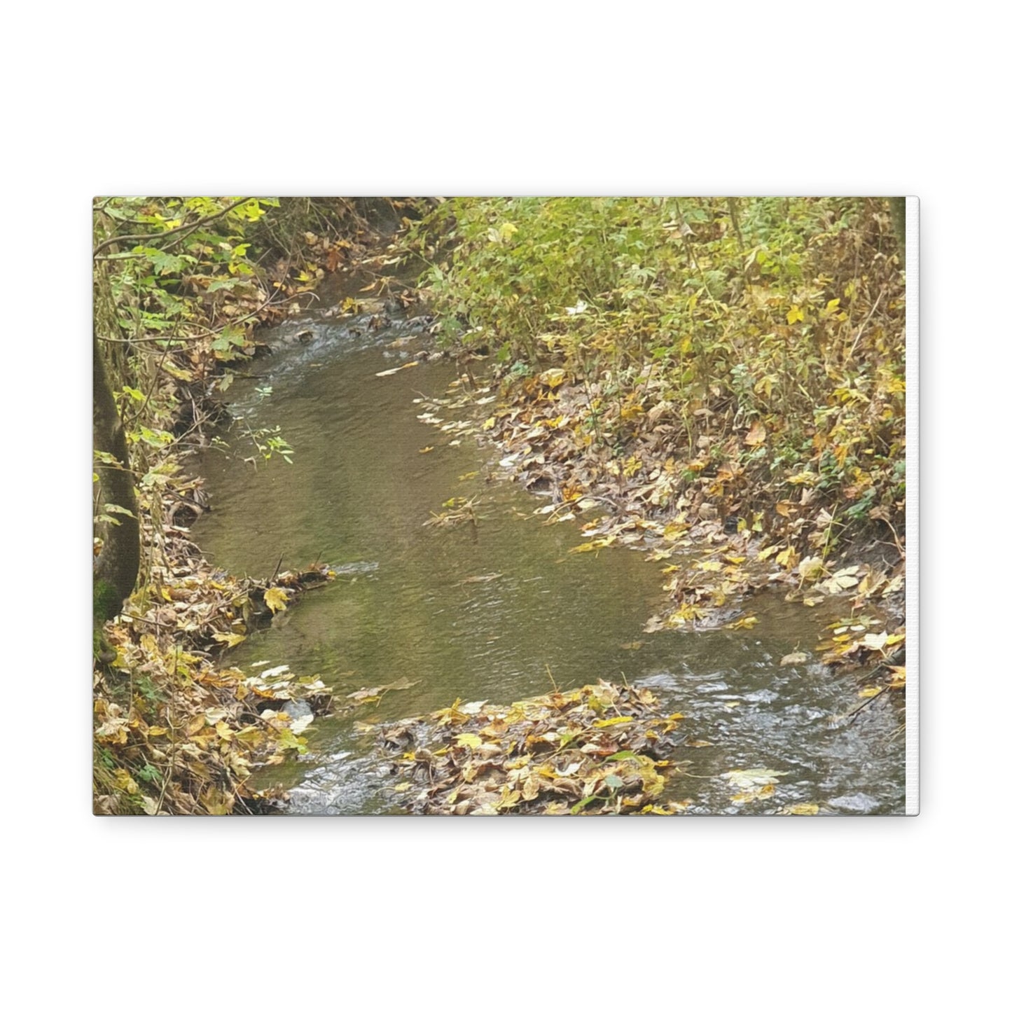 Canvas Print Autumn Water