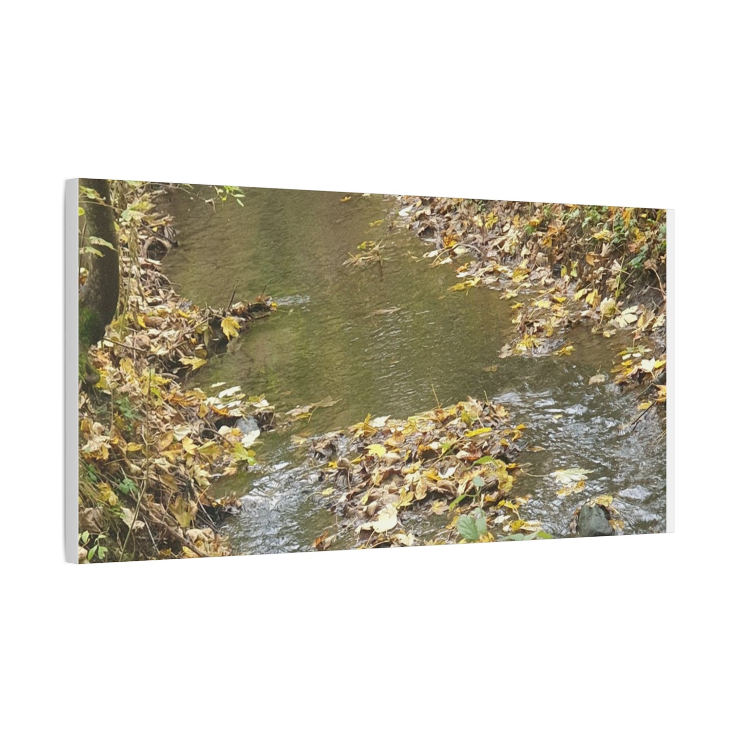 Canvas Print Autumn Water