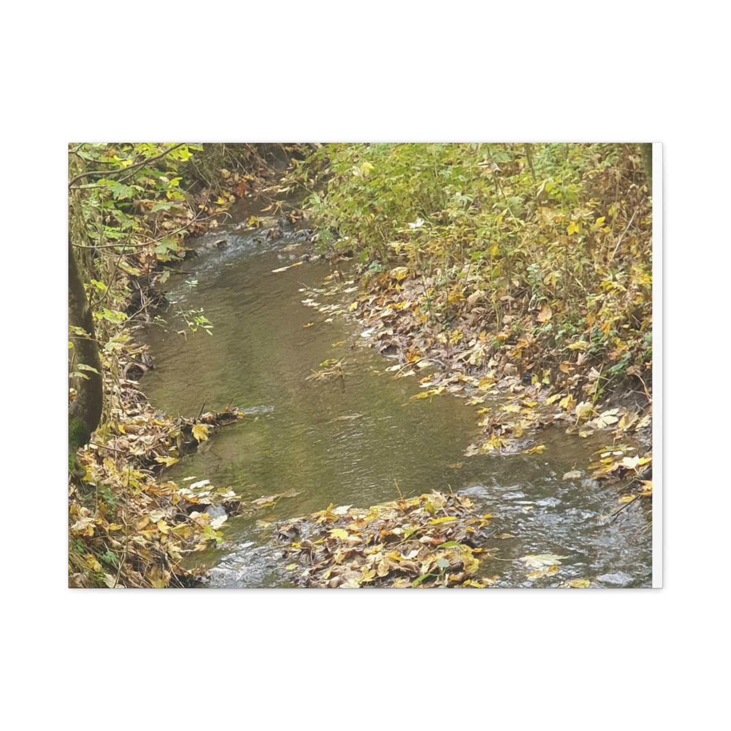 Canvas Print Autumn Water