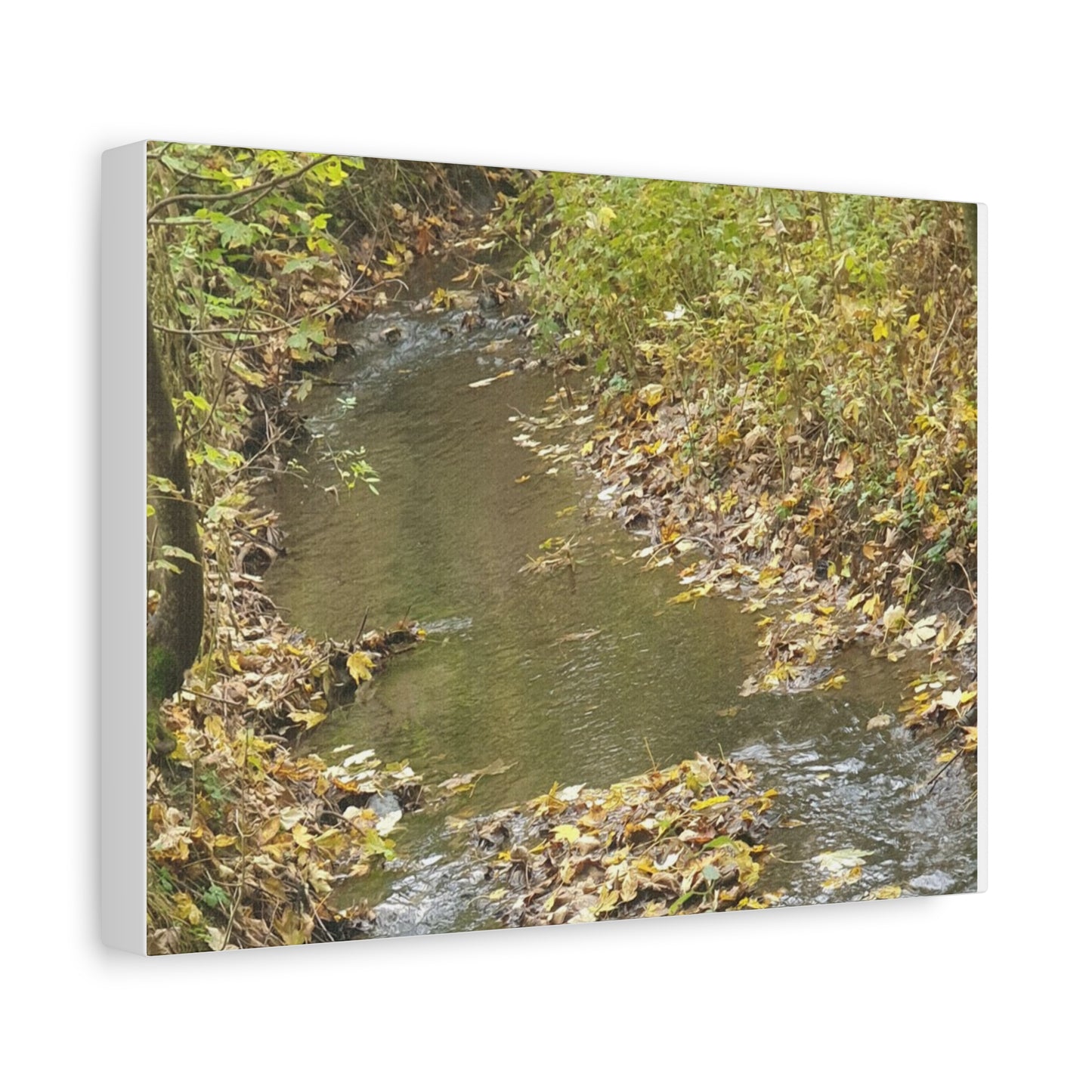 Canvas Print Autumn Water