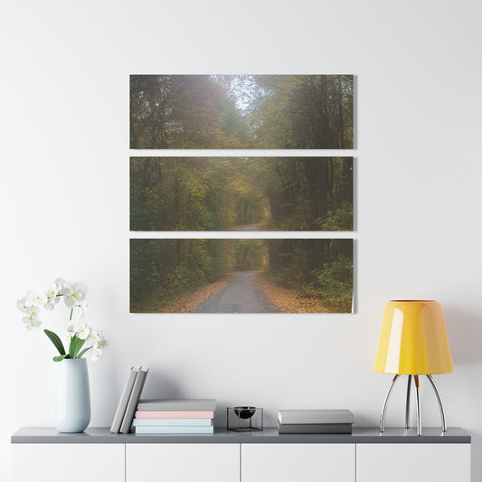 Nature Art Acrylic Prints (Triptych)