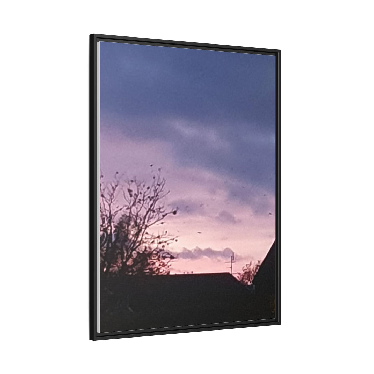 Canvas Wall Art Moonlight