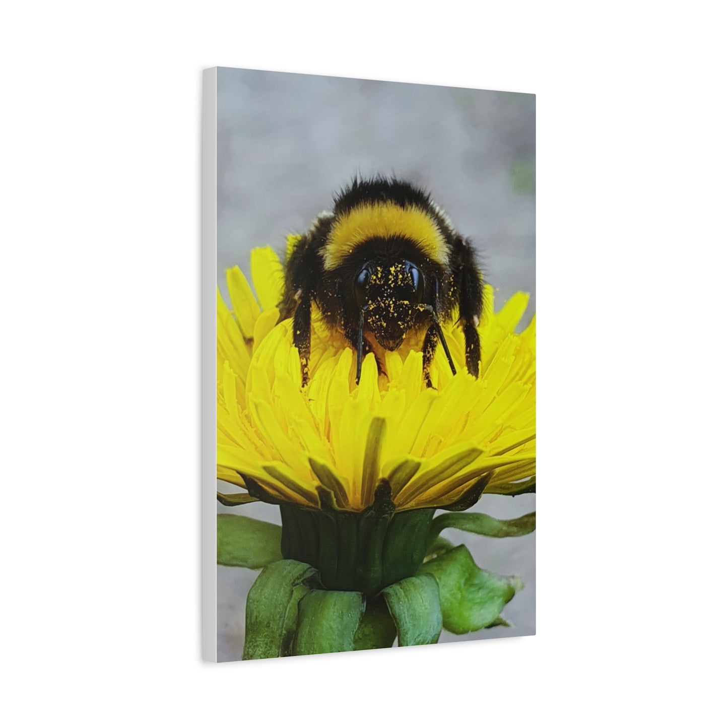 Canvas Nature Photograph Bee Print