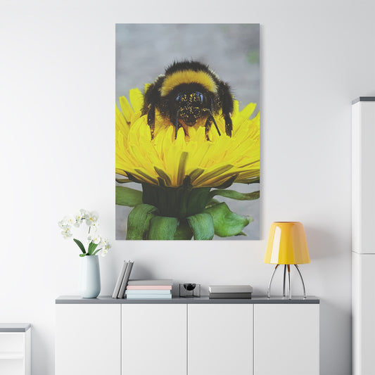 Canvas Nature Photograph Bee Print