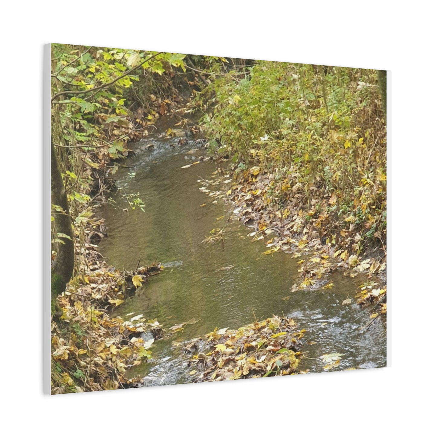 Canvas Print Autumn Water