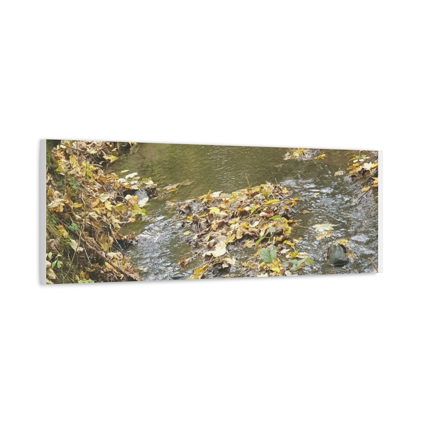 Canvas Print Autumn Water