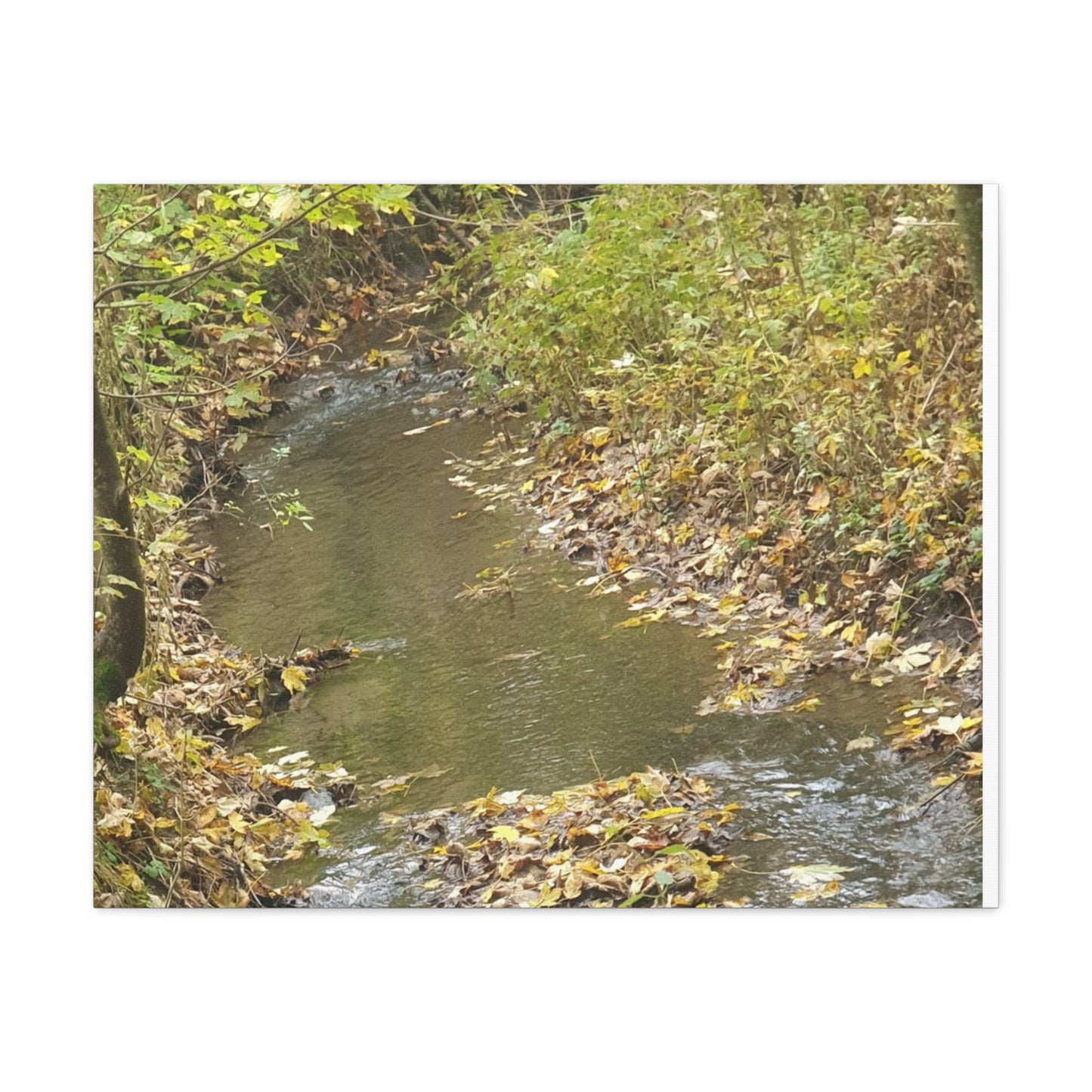 Canvas Print Autumn Water