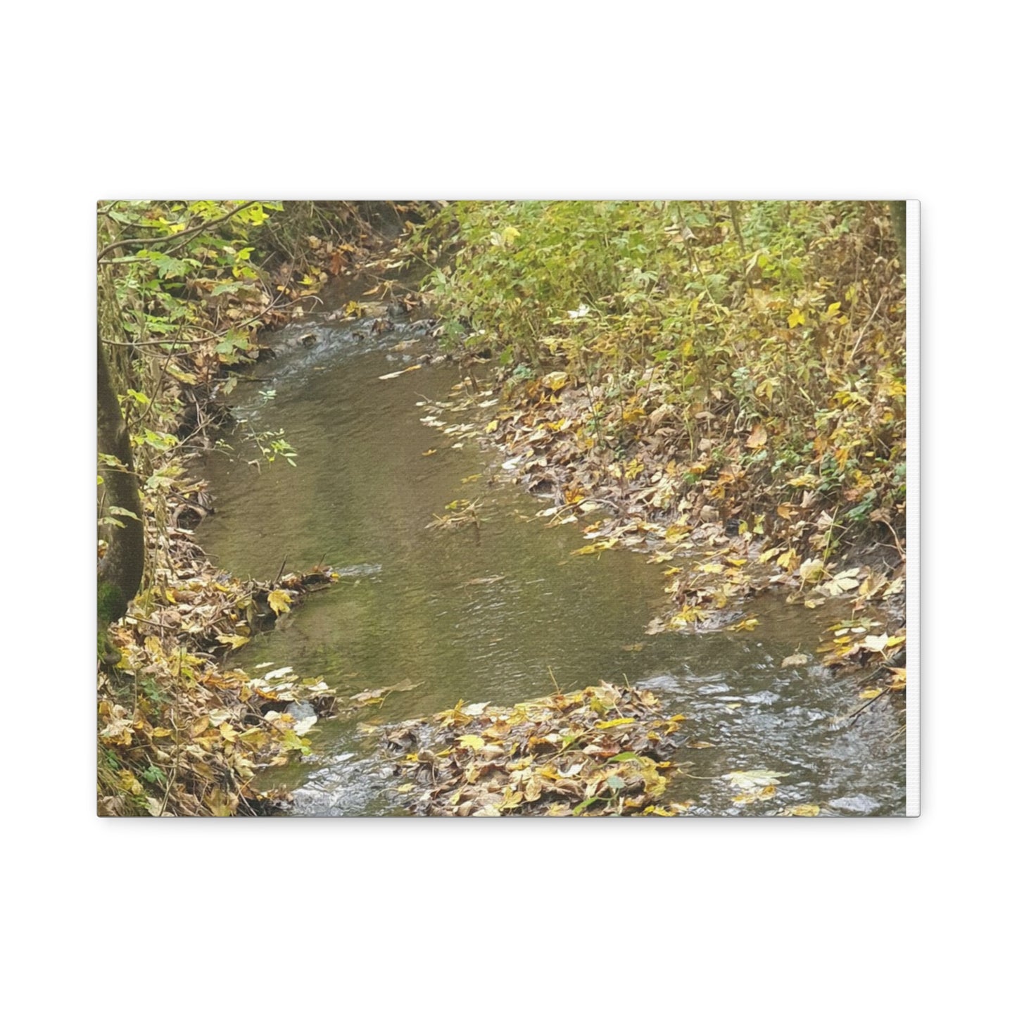 Canvas Print Autumn Water