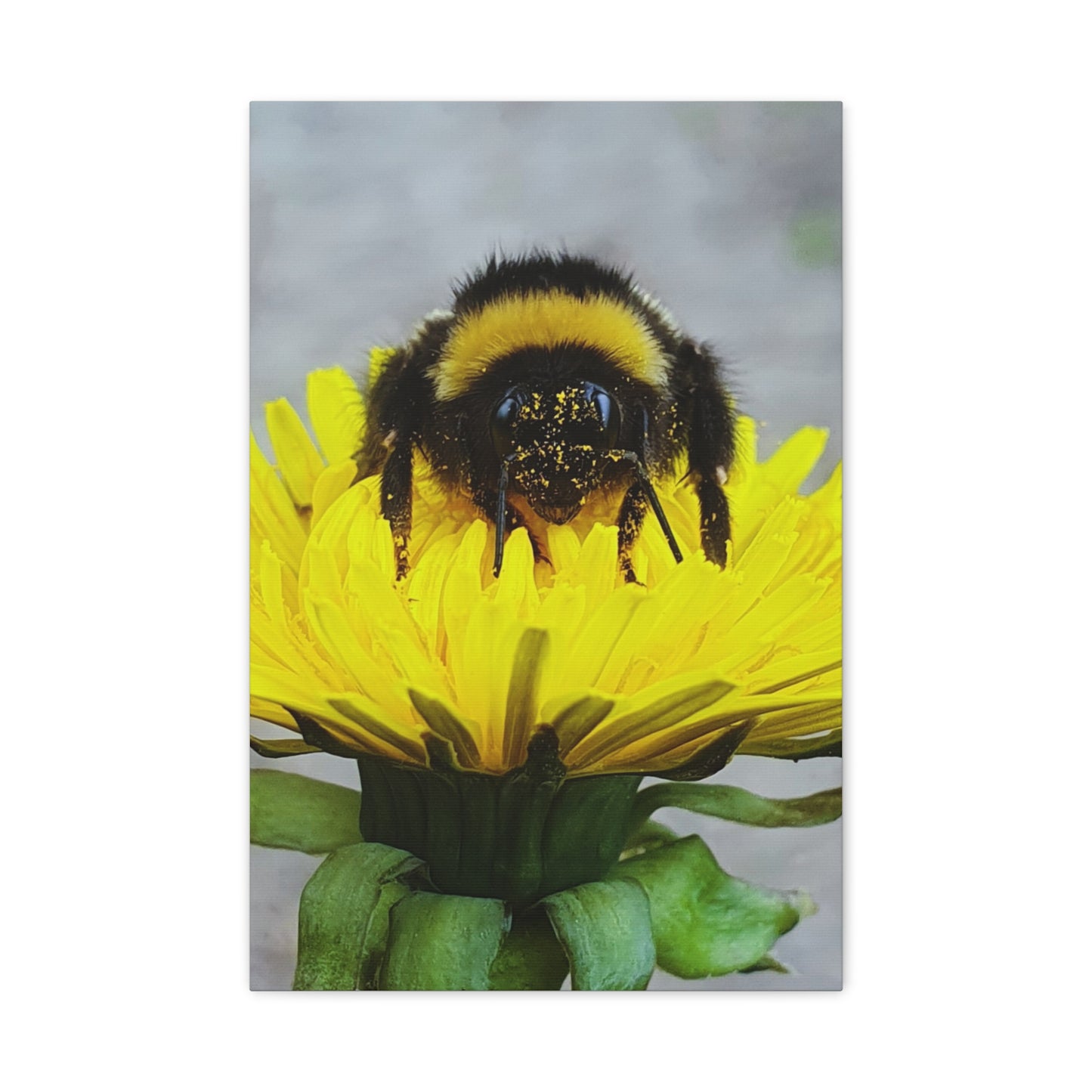 Canvas Nature Photograph Bee Print