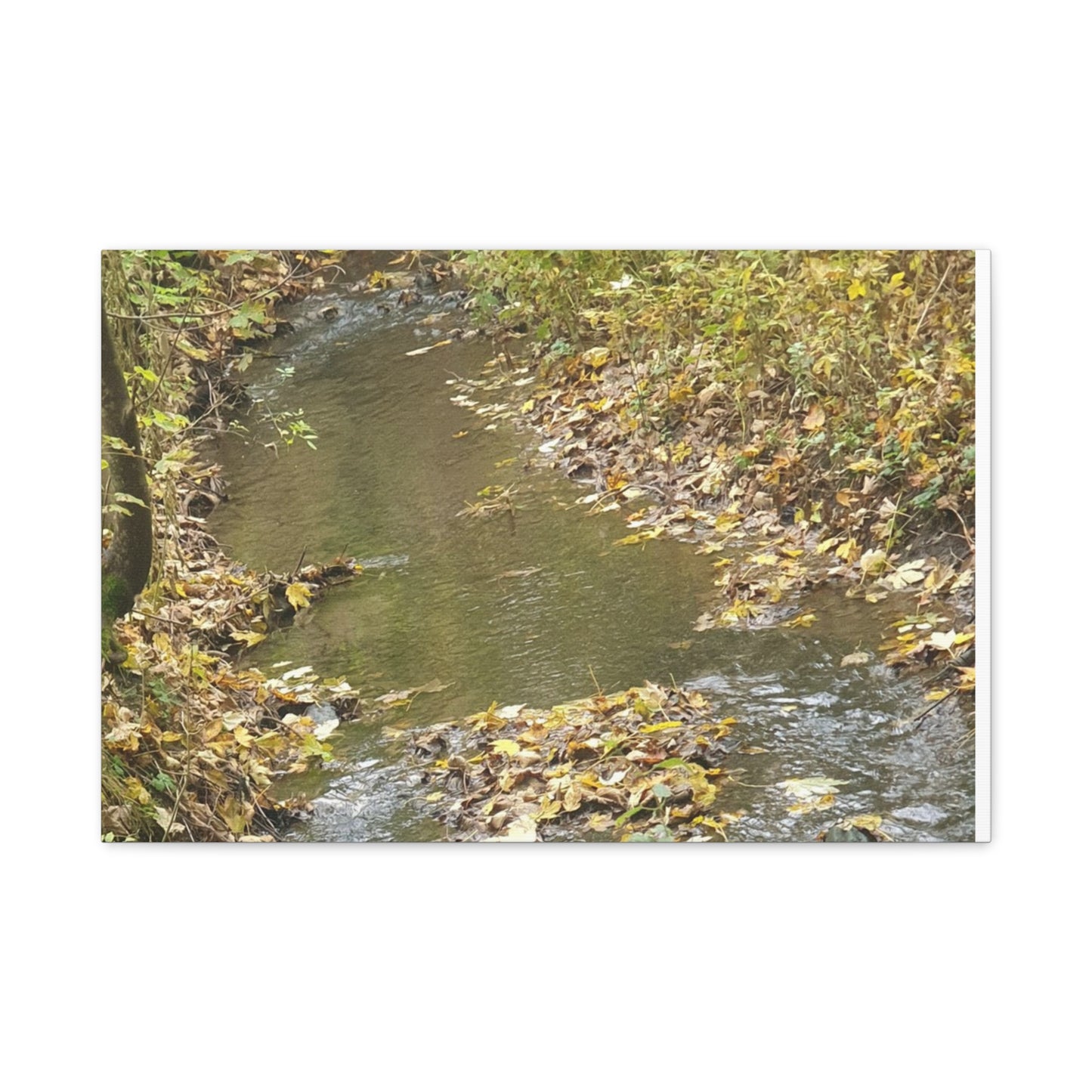 Canvas Print Autumn Water