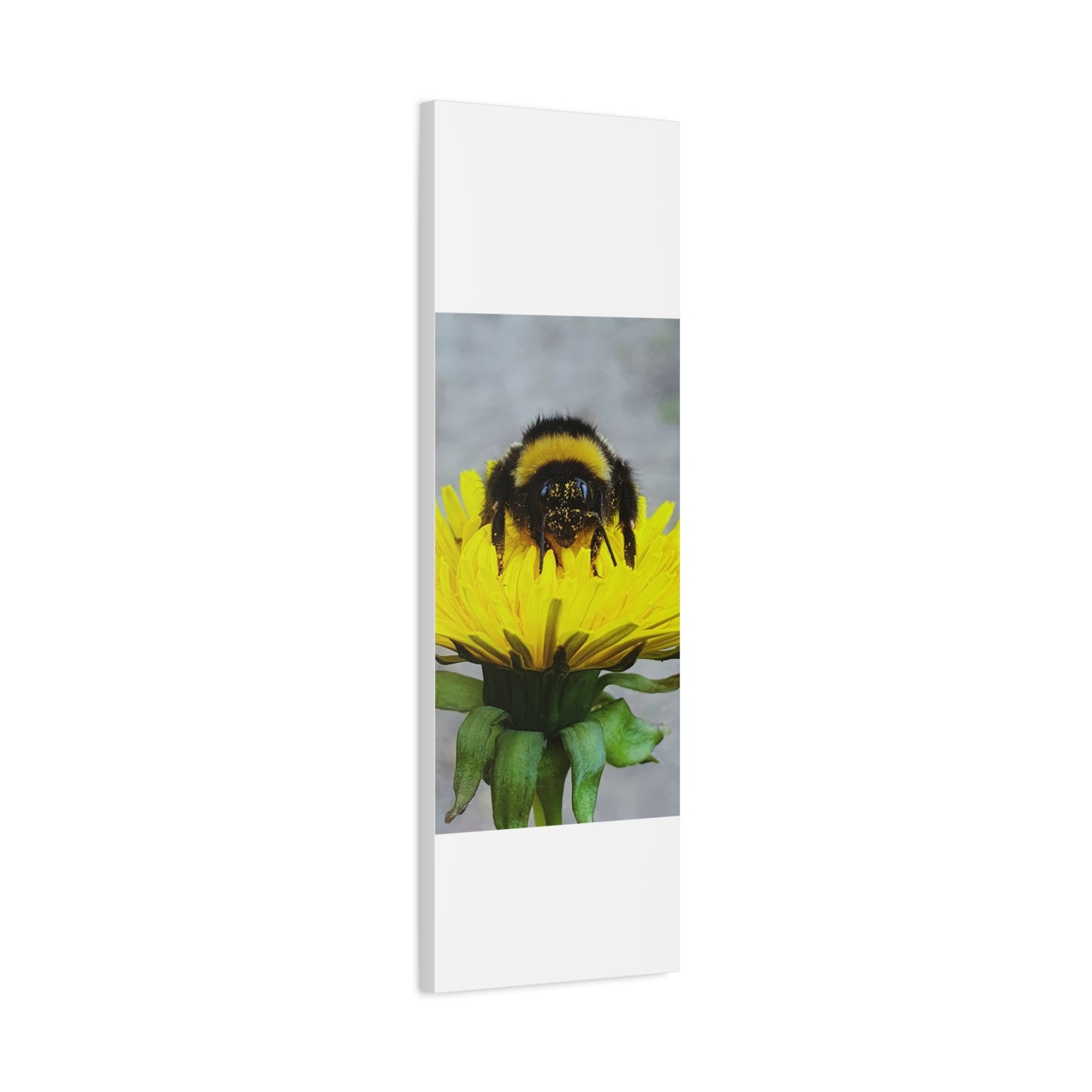 Canvas Nature Photograph Bee Print