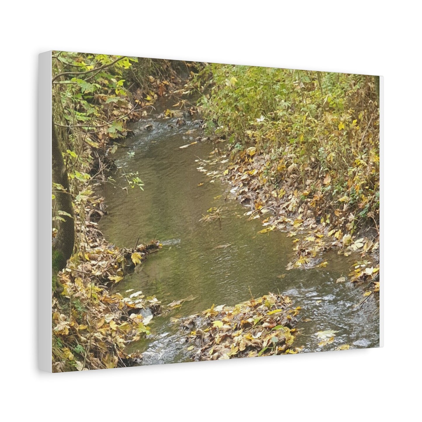 Canvas Print Autumn Water