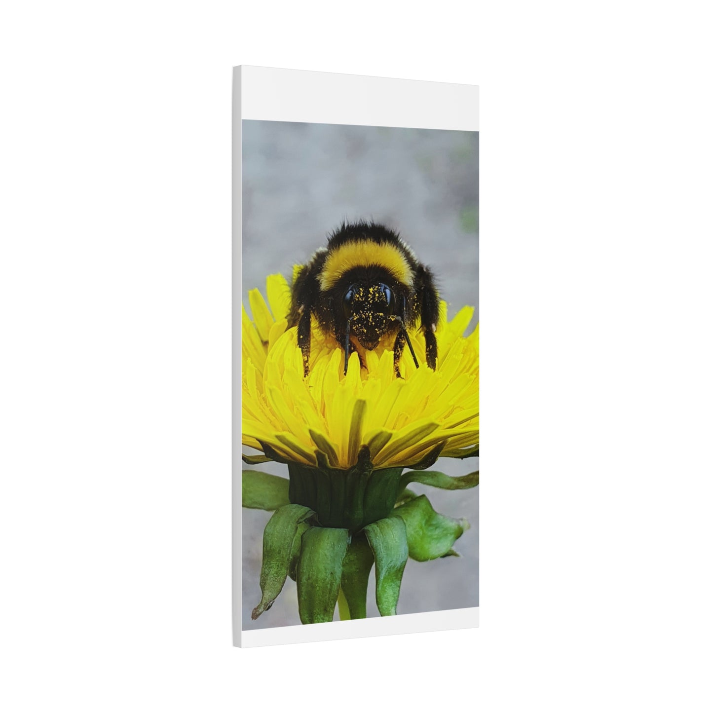 Canvas Nature Photograph Bee Print