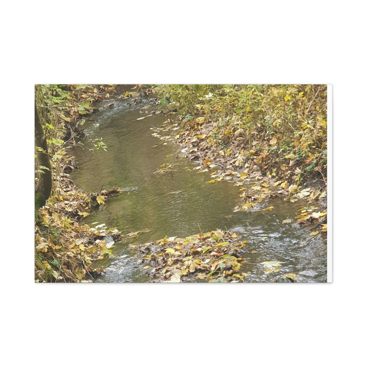 Canvas Print Autumn Water