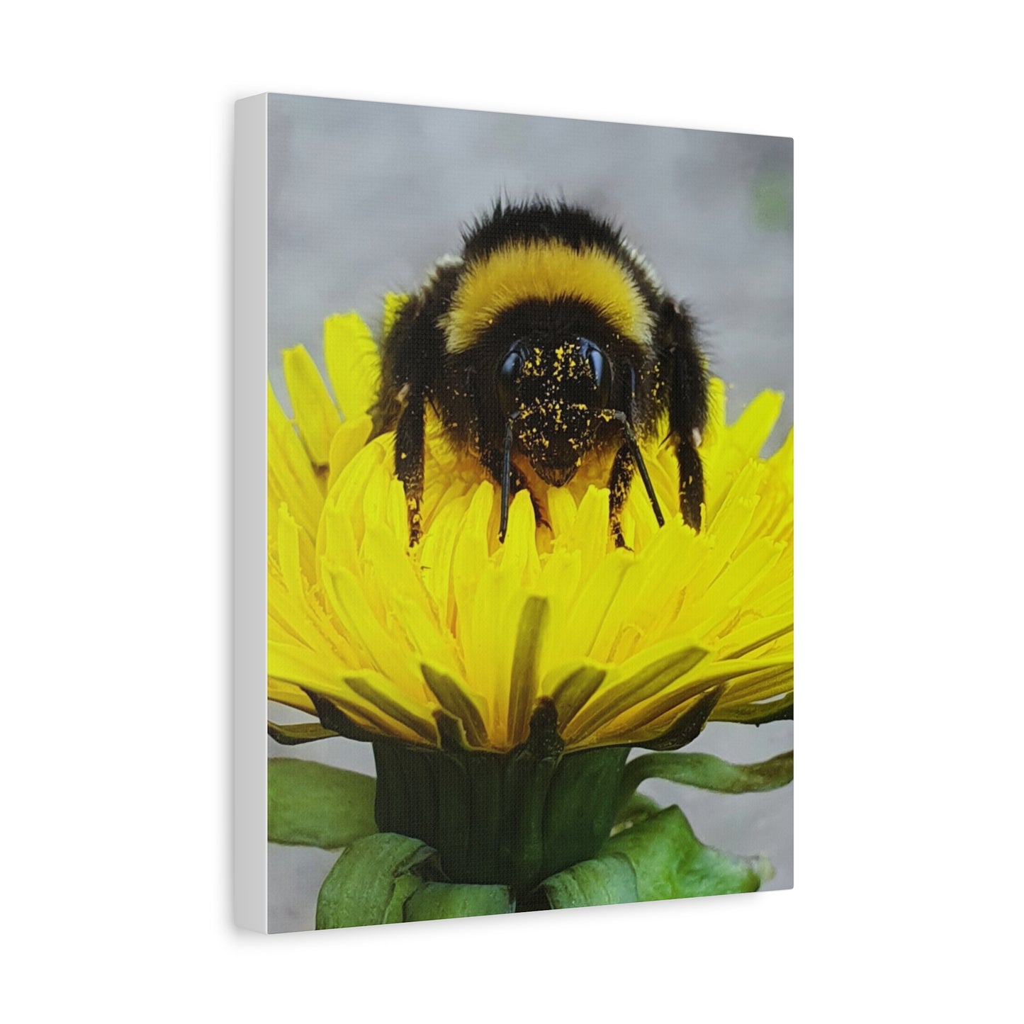 Canvas Nature Photograph Bee Print