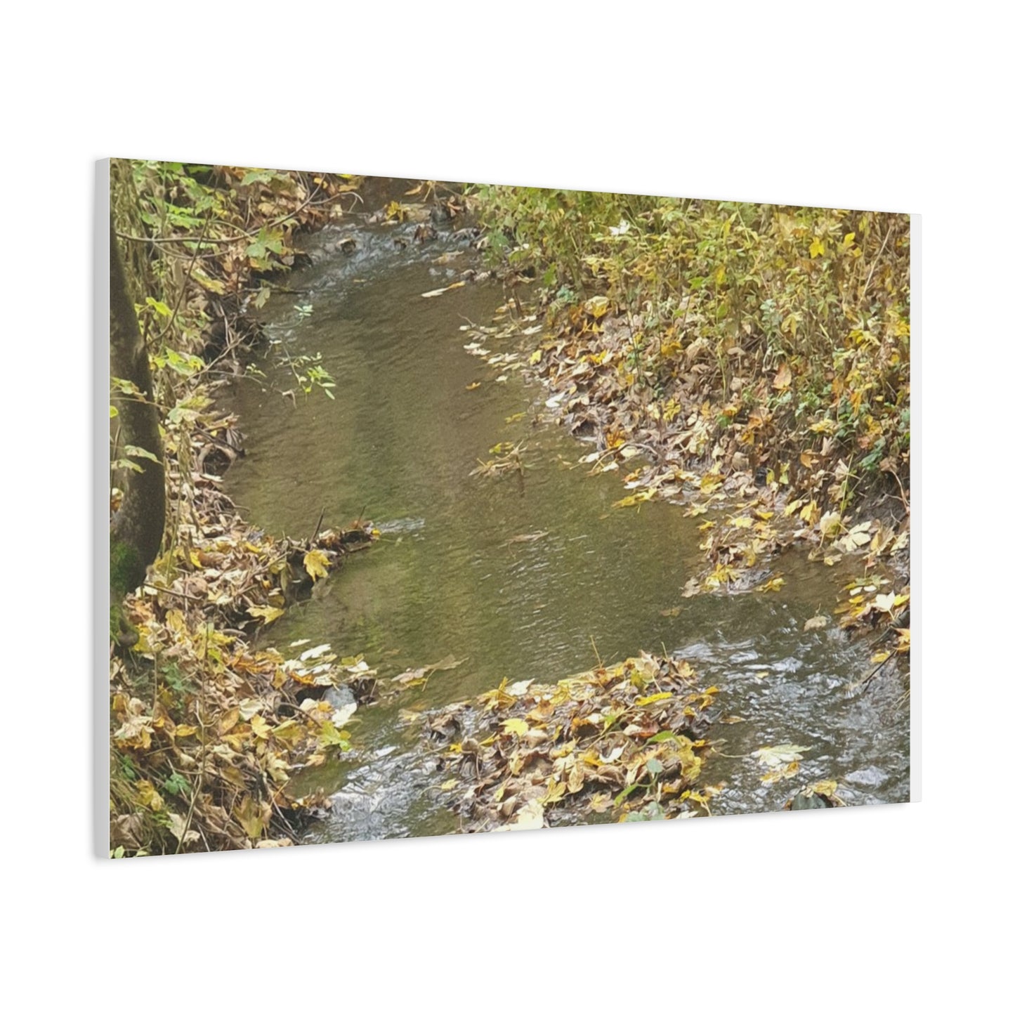 Canvas Print Autumn Water