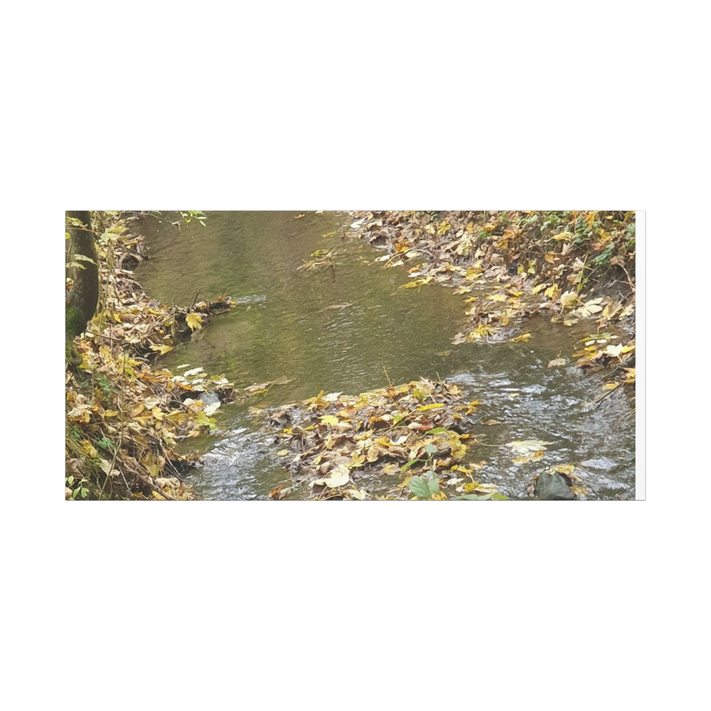 Canvas Print Autumn Water